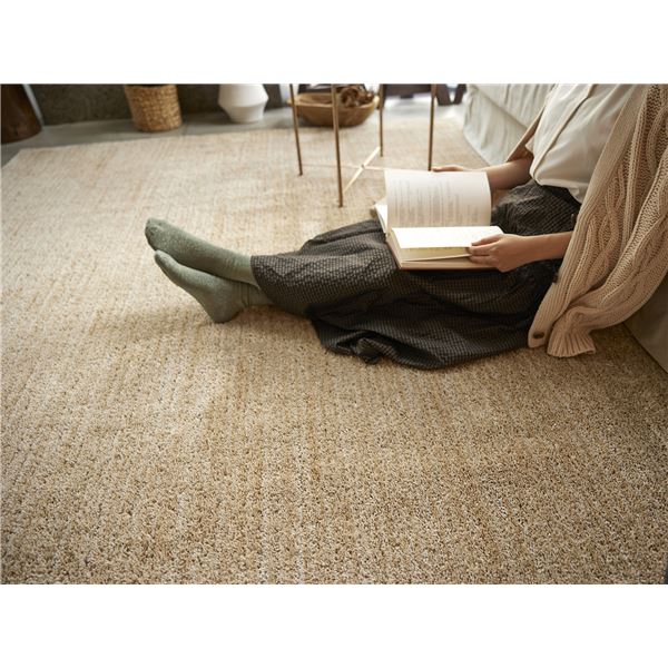 ラグ マット 絨毯 約幅130×長さ190cm ベージュ 無地 洗える 日本製 防ダニ 滑り止め加工 ホットカーペット可 スミノエ エクリュ