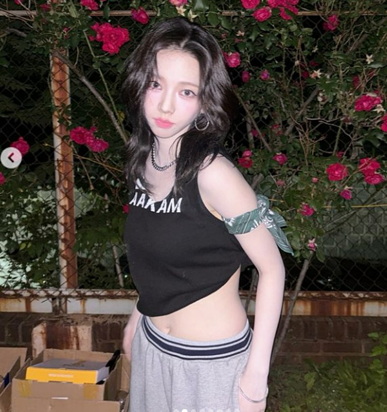 【カリナ着用】29 プリント スリーブレス / ブラックカリーナ 袖なし カリナ 上着 エスパ / アームレス アーム 服 韓国 アーム カリナ アーム 【カリナ着用】29 プリント スリーブレス / ブラックカリーナ 袖なし カリナ 上着 エスパ / アームレス アーム 服 韓国 アーム カリナ アーム