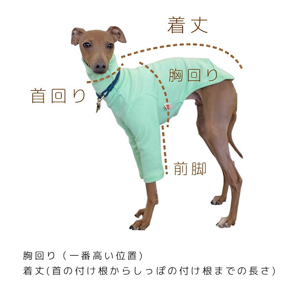 Qoo10] DOGGY STAR イタグレ服 コート 軽量 バックル ダウ