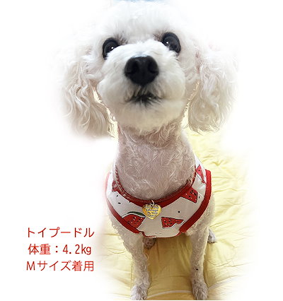 Qoo10] ハンドメイドオーダーメイド商品犬 首輪 : 犬用品