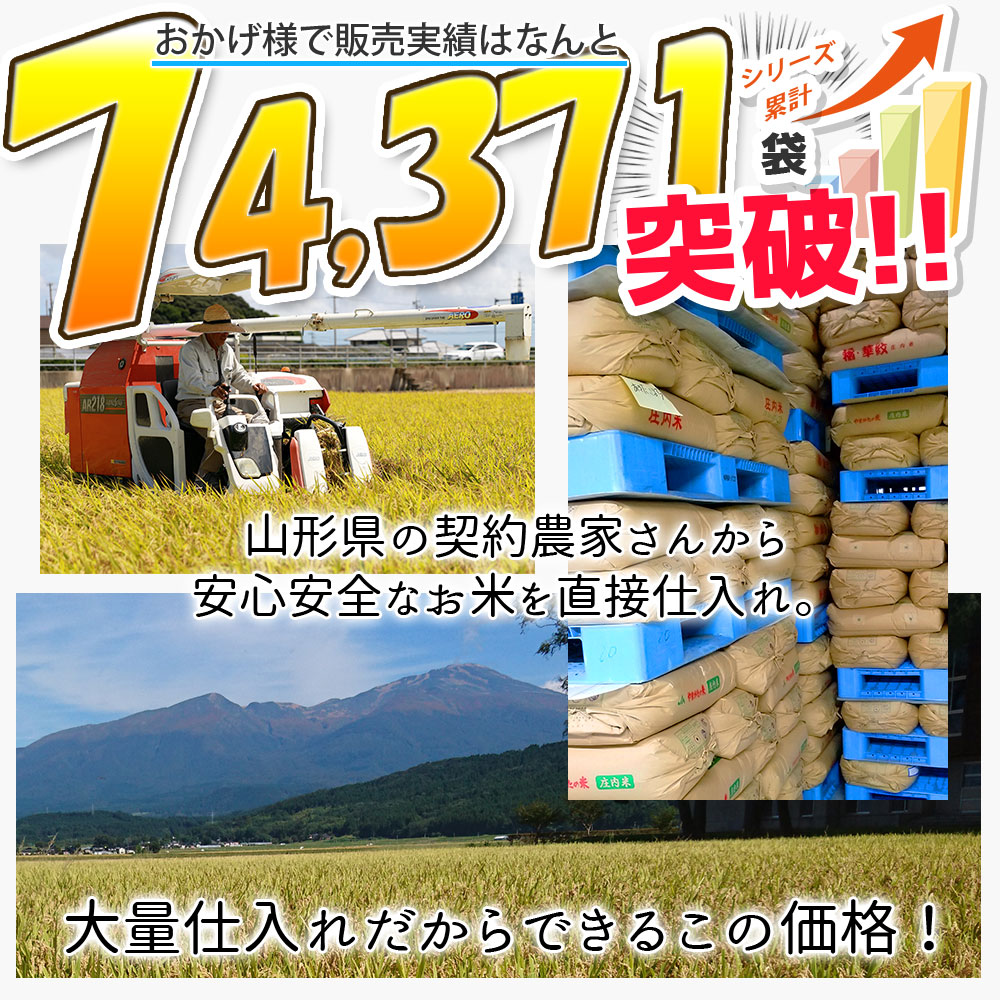 無洗米 5kg こつぶ姫 国内産