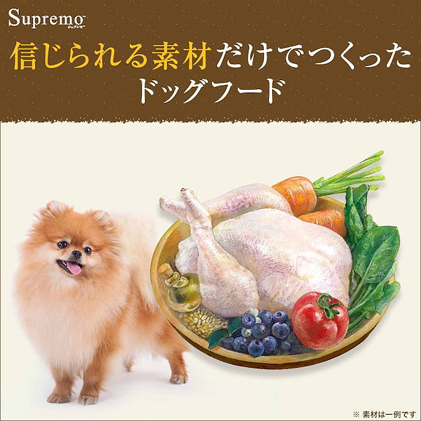 シュプレモ 小型犬 成犬用6kg分（土日限定価格） ニュートロ シュプレモ 小型犬用 成犬用 6kgの通販なら「わん