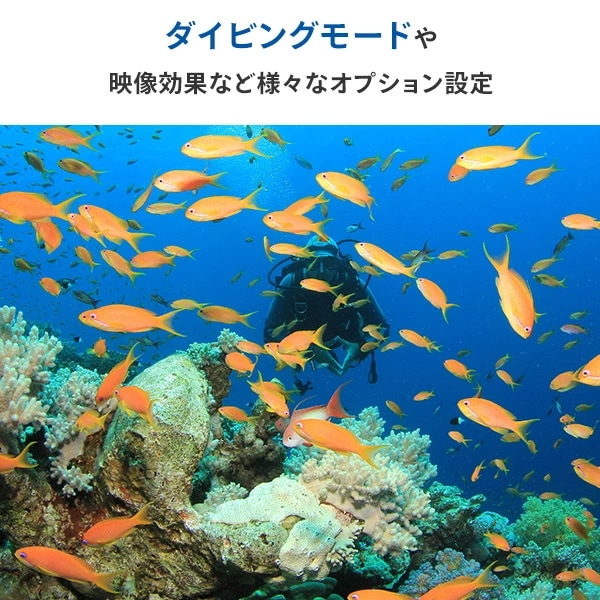 4K対応アクションカメラ 防水 IPX8 水深21m 1200万画素 手振れ補正 Wi-Fi対応 F3ACWF-01