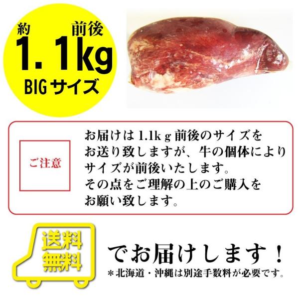 焼肉 牛肉 肉 牛タン ブロック 約1.1kg前後 業務用 焼き肉 タン 厚切り ステーキ バーベキュー BBQ キャンプ 焼肉 牛肉 肉 牛タン ブロック 約1.1kg前後 業務用 焼き肉 タン 厚切り ステーキ バーベキュー BBQ キャンプ