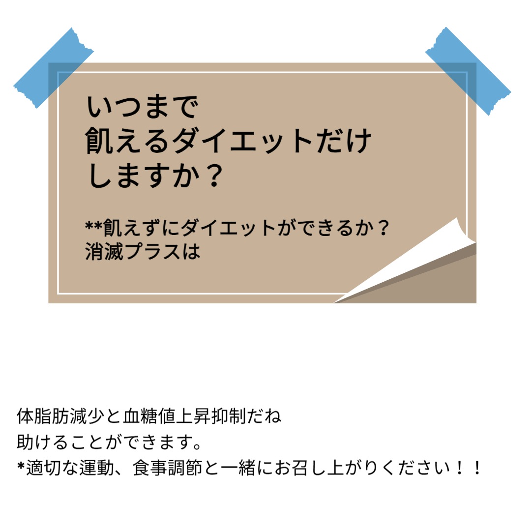 [フードビラン]消滅プラス_90錠_2つ