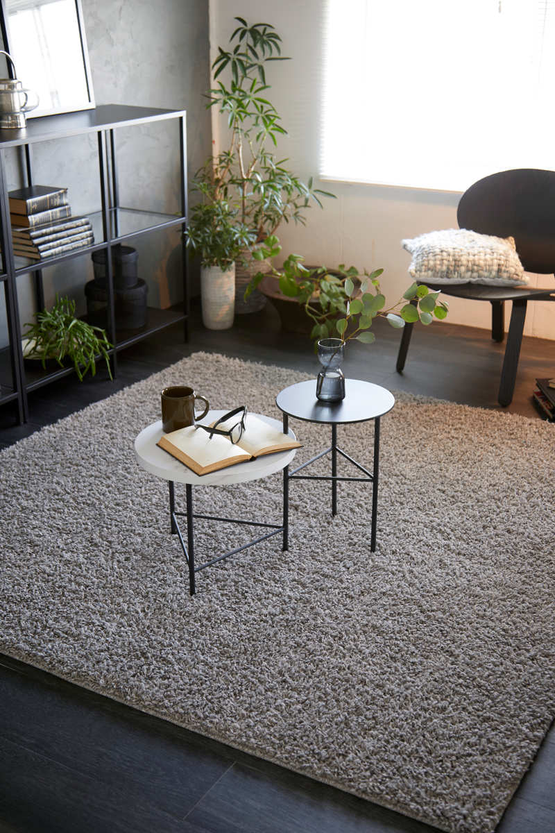 ラグ スミノエ ルーパス 130x190cm 防ダニ アレルブロック シャギーラグ ラグマット カーペット 絨毯 マット 機能ラグ 長方形 1.5畳 リビングマット アクセントラグ 滑り止め