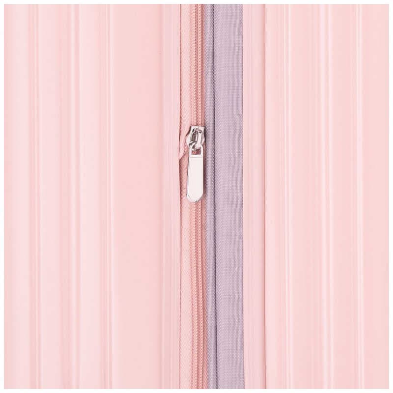 A.L.I　ハードキャリー mobus マットアッシュネイビー [TSAロック搭載 /85(拡張時98)L /1週間以上]　MBC-1911-28W