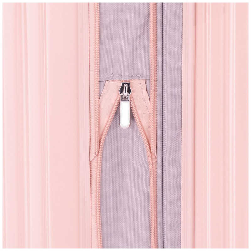 A.L.I　ハードキャリー mobus マットアッシュネイビー [TSAロック搭載 /85(拡張時98)L /1週間以上]　MBC-1911-28W