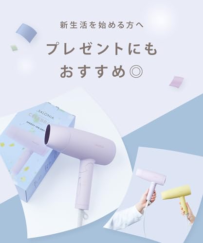 [2024年春夏限定] SALONIA サロニア スピーディーイオン ドライヤー 【セレブレイトパープル】 ヘアドライヤー 大風量 速乾 軽量 マイナスイオン SL-013CP