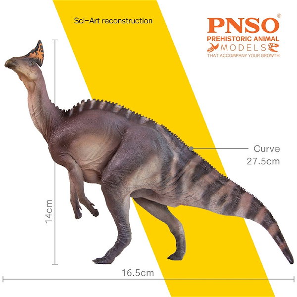 PNSO 成長シリーズ 83 ティラノティタン フィギュア 恐竜 おもちゃ 模型 Amazon | PNSO 成長シリーズ 83 ティラノティタン フィギュア
