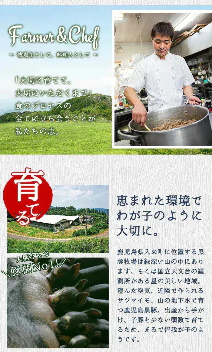 鹿児島県産 焼豚 200g×6袋 鹿児島県 黒豚 焼豚 冷凍 BBQ バーベキュー 肉 肉加工品 豚肉 おつまみ 酒の肴 おかず オードブル お弁当 ホットドッグ