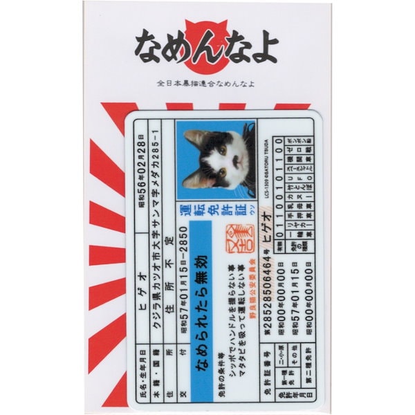 なめ猫 カード 免許証 良し 3枚セット なめ猫 カード 免許証 良し 3枚セット