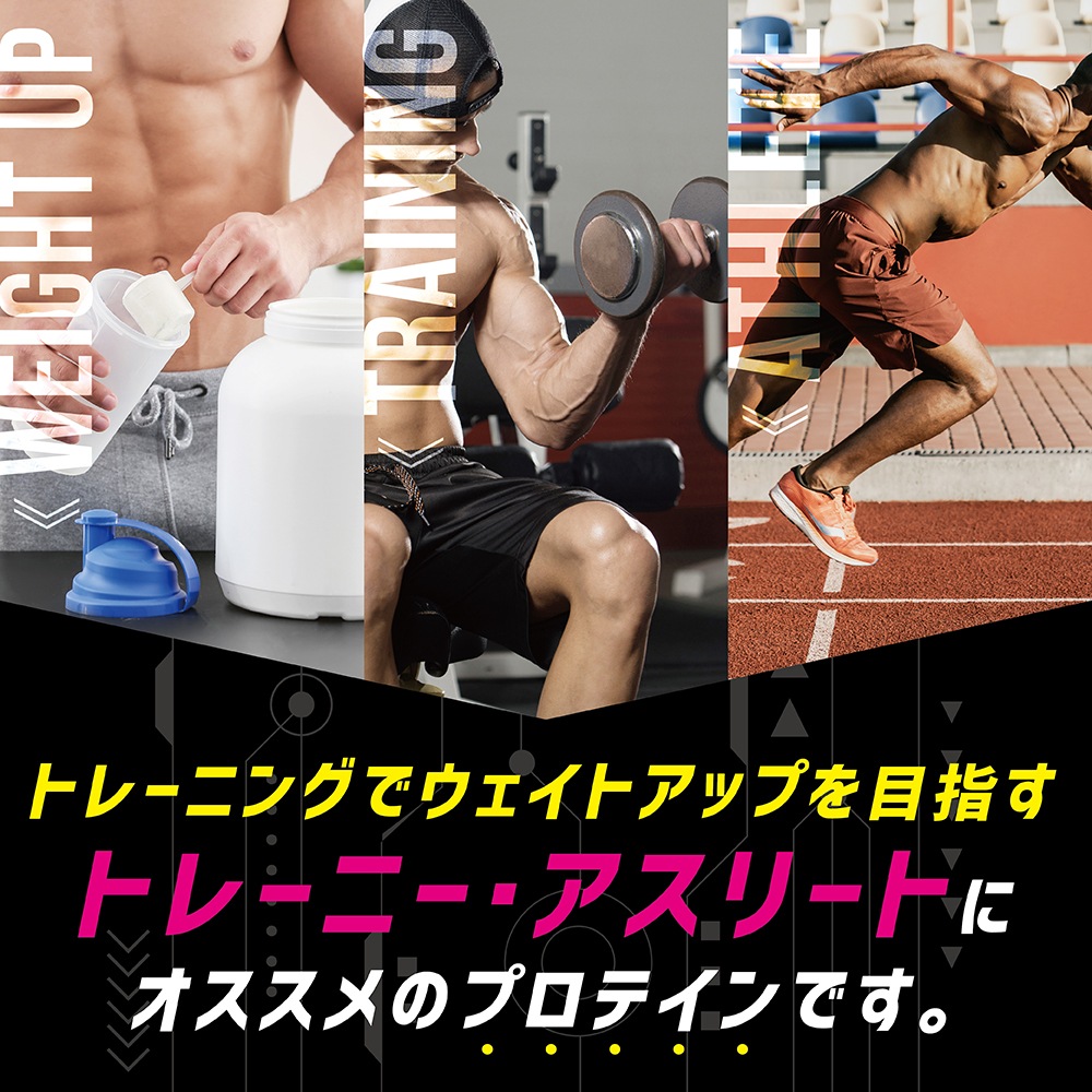 プロテイン ウエイトゲイナー ウェイトゲイナープロテイン ウェイトアップ