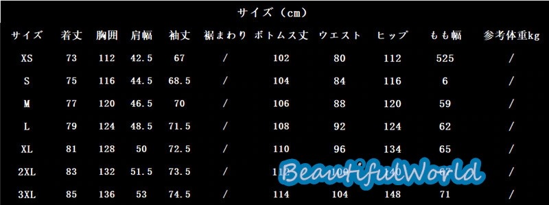 スノーボードウェア 上下セット スキーウェア メンズ レディース セットアップ 男女兼用 スノボウェア スノーボード ジャケット パンツ 撥水防風 保温 雪遊び 暖かいH88