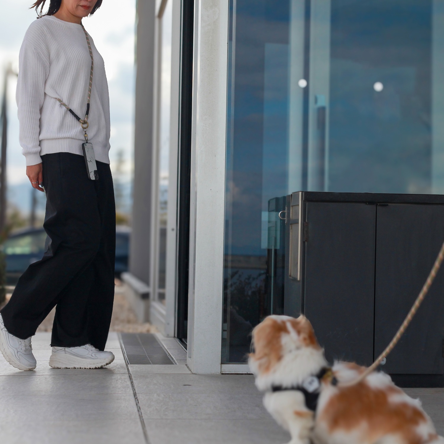 ショルダー2WAYクライミングロープリーシュ 肩掛けリード ショルダーリード ハンズフリー 小型犬 中型犬用 斜め掛け SHOULDER 2WAY CLIMBING ROPE LEASH ショルダー2WAYクライミングロープリーシュ 肩掛けリード ショルダーリード ハンズフリー 小型犬 中型犬用 斜め掛け SHOULDER 2WAY CLIMBING ROPE LEASH