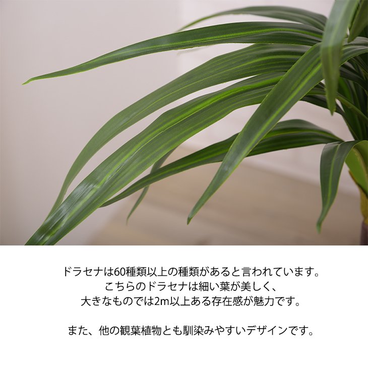 のチェック 造花 リアル 日用品雑貨 ドラセナ 観葉植物 植物 なことでは