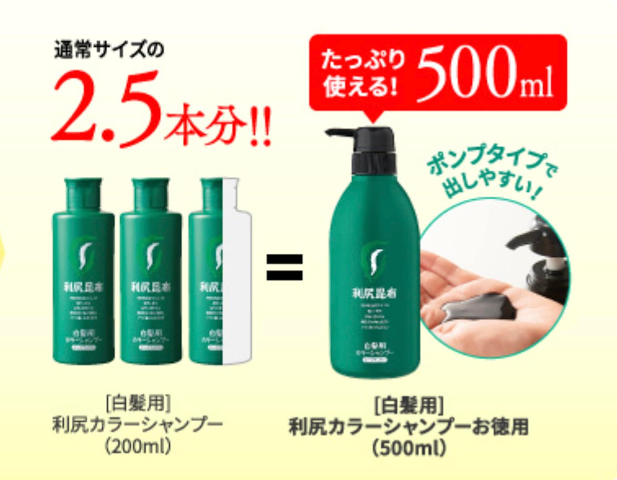 Sastty[白髪用] 利尻カラーシャンプー お徳用 500ml (ブラック)