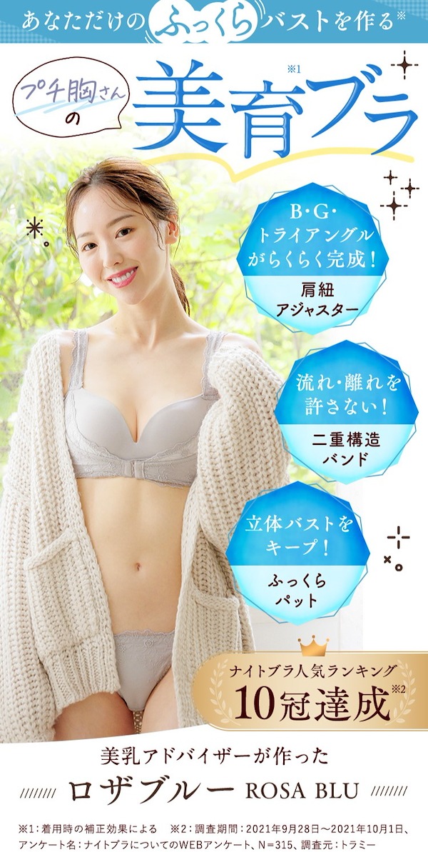 大人気 ロザブルー ROSABLU ノンワイヤー育乳ブラ ネイビー XL - 下着