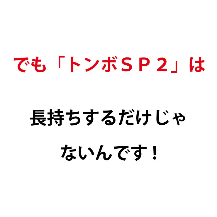 トンボ SP2 (5本セット) グラウンド 整備用 レーキ アルミ&木製(ヒノキ)製で軽量 10年使える (幅80cm) 完全日本製 クーポン対象商品 トンボ SP2 (5本セット) グラウンド 整備用 レーキ アルミ&木製(ヒノキ)製で軽量 10年使える (幅80cm) 完全日本製 クーポン対象商品