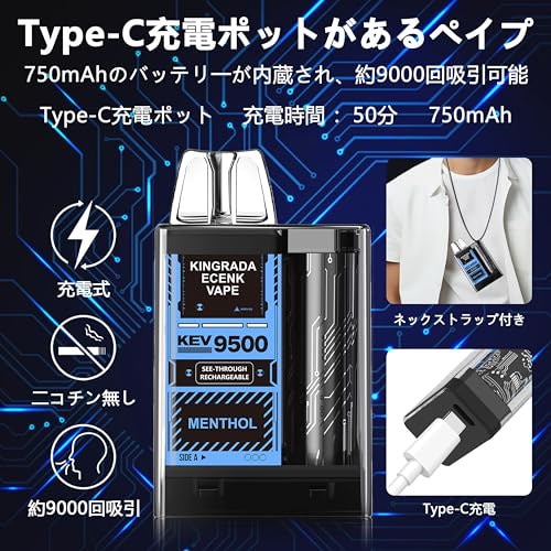 ECENK VAPE ブルーベリー・ラズベリー・レモン 使い捨て 25個セット 浅い