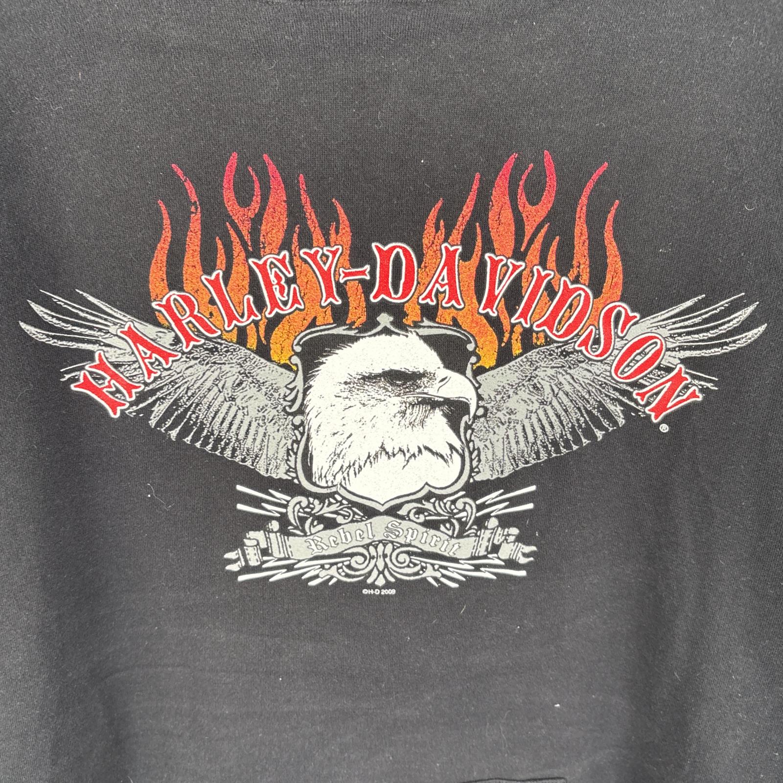 古着 00’s/00年代 パーカー ビッグサイズ コピーライト 肉厚 XXXL ブラック メンズ