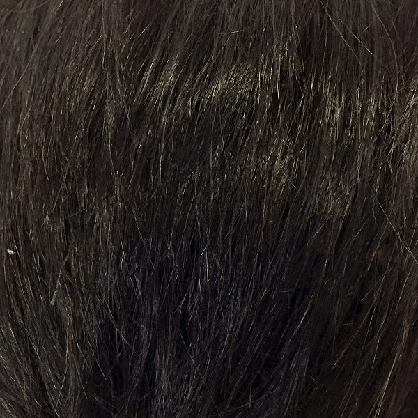 【メンズウィッグ】[3463]カームショート （スタンダードブラック）　[男性用 おしゃれ 変装 仮装 ウィッグ かつら]【506383】