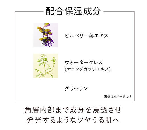 【国内正規品】　オン　スキン　エッセンス　Ｆ　125mL