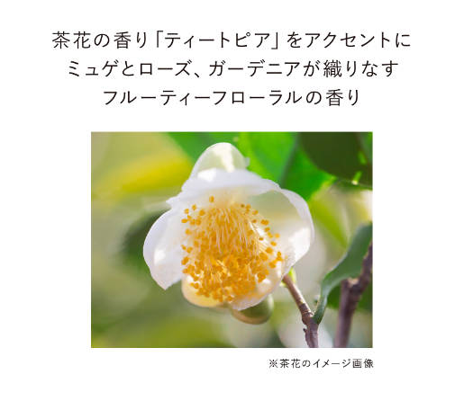 【国内正規品】　オン　スキン　エッセンス　Ｆ　125mL