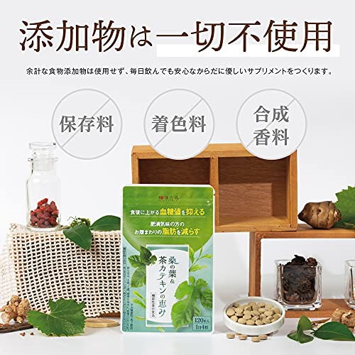 Qoo10] 和漢の森 桑の葉＆茶カテキンの恵み 1袋