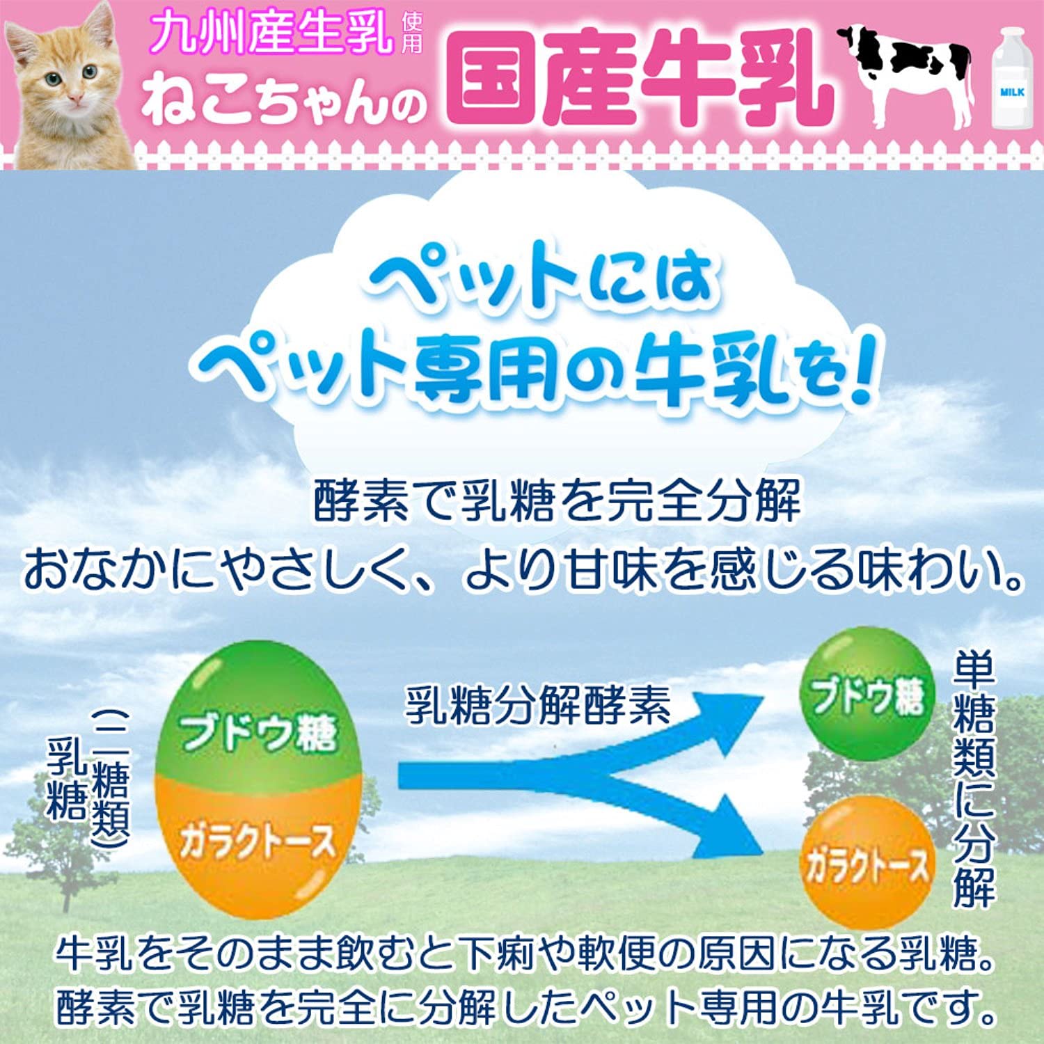 キャティーマン (CattyMan) ねこちゃんの国産牛乳 ミルク 全猫種用 200ml×24個入り 【ケース販売】