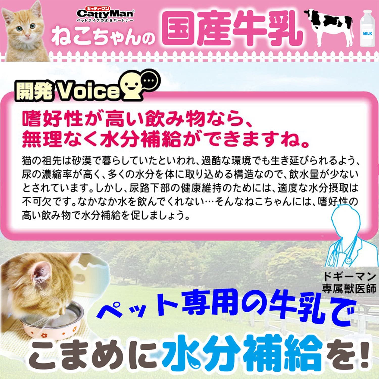 キャティーマン (CattyMan) ねこちゃんの国産牛乳 ミルク 全猫種用 200ml×24個入り 【ケース販売】