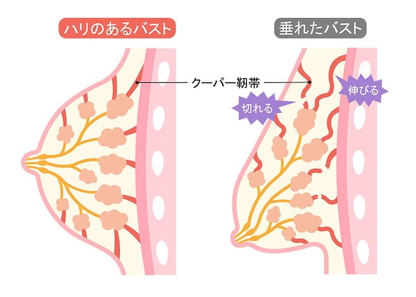 Qoo10] 3倍飲みセット 季令 KIREI 高純度