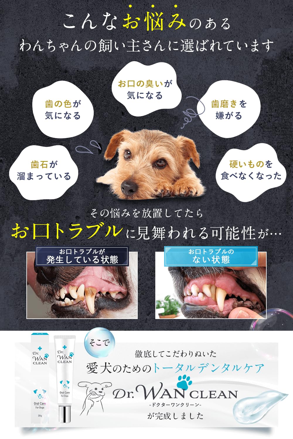 CLEAN WAN クリーンワン 犬・猫用 口腔ジェル15g 3本 歯ブラシ