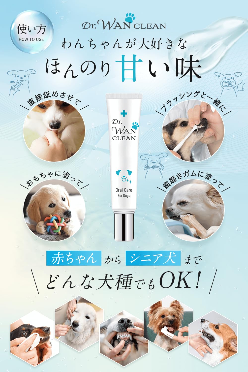 CLEAN WAN クリーンワン 歯磨きジェル デンタルケア Amazon.co