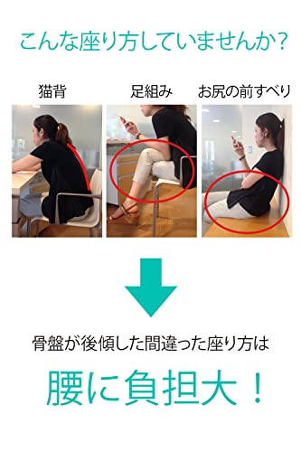 アーユルチェアー メディカルシート(座イス&座面シートタイプ) 腰痛対策 姿勢矯正 集中力 学習 疲れない 椎間板ヘルニア 脊柱管狭窄症 坐骨神経痛 前傾姿勢 体幹 ダイエット 省スペース家具 ぎっく アーユルチェアー メディカルシート(座イス&座面シートタイプ) 腰痛対策 姿勢矯正 集中力 学習 疲れない 椎間板ヘルニア 脊柱管狭窄症 坐骨神経痛 前傾姿勢 体幹 ダイエット 省スペース家具 ぎっく