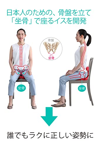 アーユルチェアー メディカルシート(座イス&座面シートタイプ) 腰痛対策 姿勢矯正 集中力 学習 疲れない 椎間板ヘルニア 脊柱管狭窄症 坐骨神経痛 前傾姿勢 体幹 ダイエット 省スペース家具 ぎっく アーユルチェアー メディカルシート(座イス&座面シートタイプ) 腰痛対策 姿勢矯正 集中力 学習 疲れない 椎間板ヘルニア 脊柱管狭窄症 坐骨神経痛 前傾姿勢 体幹 ダイエット 省スペース家具 ぎっく
