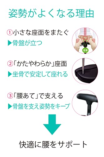 アーユルチェアー メディカルシート(座イス&座面シートタイプ) 腰痛対策 姿勢矯正 集中力 学習 疲れない 椎間板ヘルニア 脊柱管狭窄症 坐骨神経痛 前傾姿勢 体幹 ダイエット 省スペース家具 ぎっく アーユルチェアー メディカルシート(座イス&座面シートタイプ) 腰痛対策 姿勢矯正 集中力 学習 疲れない 椎間板ヘルニア 脊柱管狭窄症 坐骨神経痛 前傾姿勢 体幹 ダイエット 省スペース家具 ぎっく