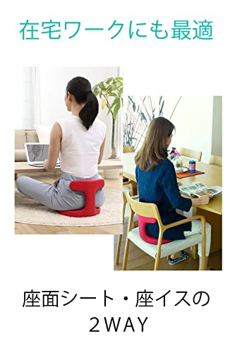 アーユルチェアー メディカルシート(座イス&座面シートタイプ) 腰痛対策 姿勢矯正 集中力 学習 疲れない 椎間板ヘルニア 脊柱管狭窄症 坐骨神経痛 前傾姿勢 体幹 ダイエット 省スペース家具 ぎっく アーユルチェアー メディカルシート(座イス&座面シートタイプ) 腰痛対策 姿勢矯正 集中力 学習 疲れない 椎間板ヘルニア 脊柱管狭窄症 坐骨神経痛 前傾姿勢 体幹 ダイエット 省スペース家具 ぎっく