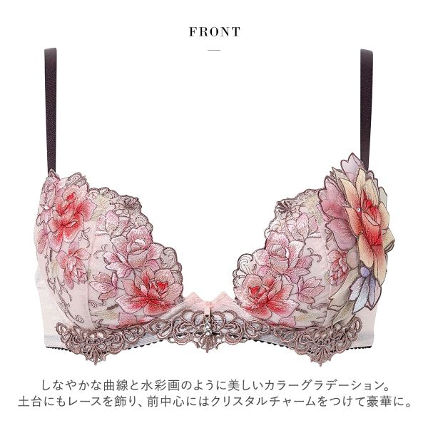  SALUTE 23年 新品 サルート23グループ｜ワコール・トリンプの京都発インナー