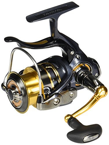 ランク ダイワ Daiwa アウトドア スピニングリール ザーを Mcpremoldados Com Br