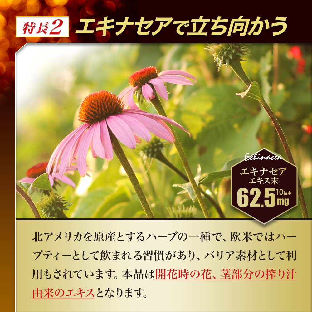訳あり 水溶性アガリクスS粒 300粒*6個 約180日分 賞味期限2026年9月以降 サプリメント サプリ 訳あり 水溶性アガリクスS粒 300粒*6個 約180日分 賞味期限2026年9月以降 サプリメント サプリ