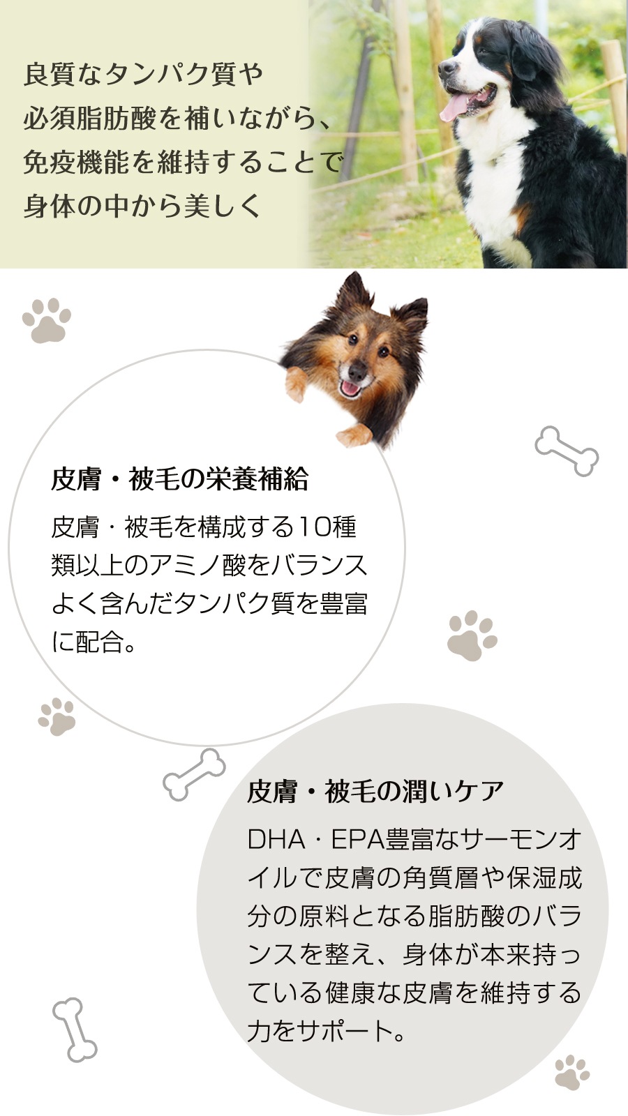 スキン&コート 6kg【わんわんウエットてぃっしゅ1個付き】 スキン&コート 6kg【わんわんウエットてぃっしゅ1個付き】