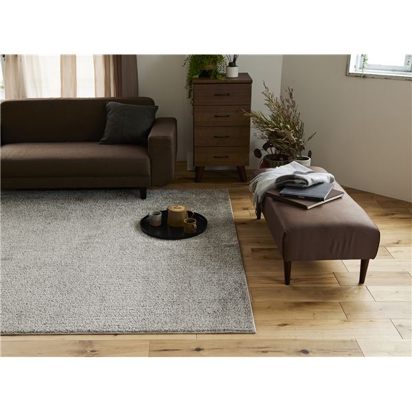 スミノエ 洗える ラグ ルフレ 約幅190x長さ240cm グレージュ 日本製 スミノエ 洗える ラグ ルフレ 約幅190x長さ240cm グレージュ 日本製