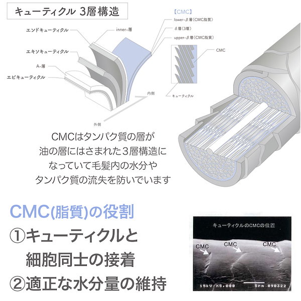 Qoo10] 髪風船 バサバサ髪 を しっとり髪 へ 乾燥毛の