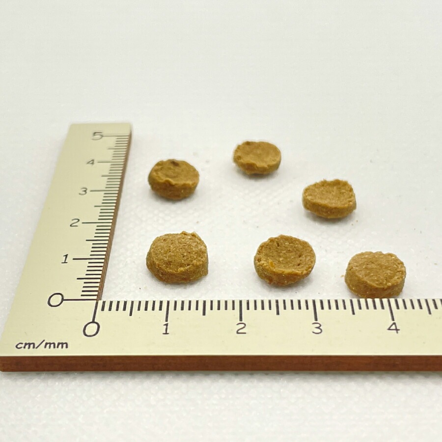 ヤムヤムヤム 馬肉 ドライタイプ 1.3kg 小粒 リニューアル ドッグフード Yum Yum Yum! 国産