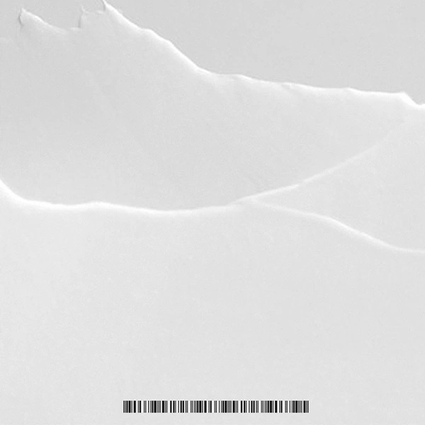 【公式代理店】デイリー 幹細胞培養液 スキンローション セット 【公式代理店】デイリー 幹細胞培養液 スキンローション セット