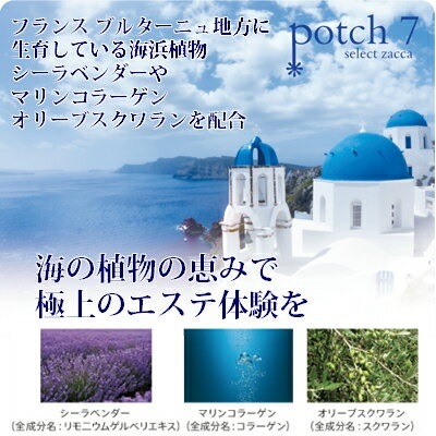 ポーラ 10L シャンプ... : ヘア : ポーラ エステロワイエ 通販定番