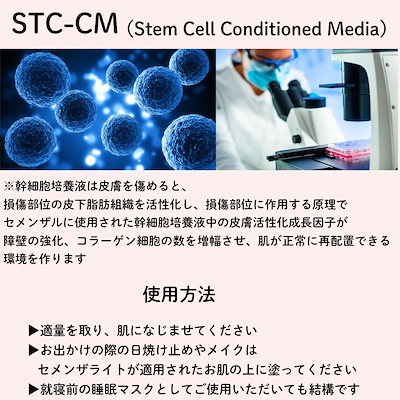 Cemenzal Light 高濃度クリーム ゲルスターターセット 呉竹 ZIGクリーンカラードット シングル/マイルドスモーキー