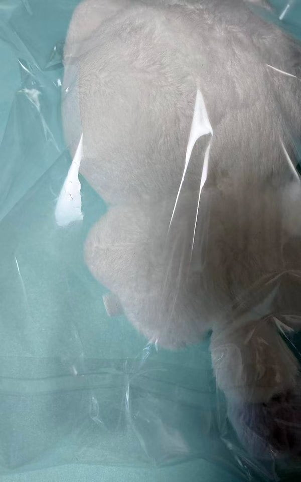 Qoo10] enhypen ソヌ マスターニム ぬい