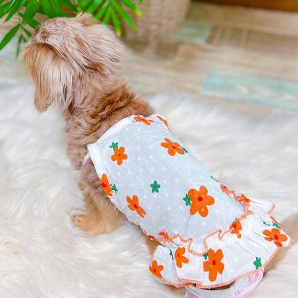 サラダページです　ダックスフンド　犬服　犬の服　ダックス ミニチュアダックスフンドの服 | 犬服通販ドッグピース